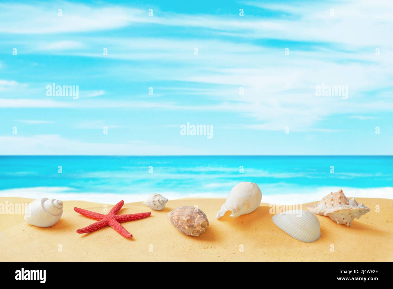 Muscheln und Meeresstern auf Strandsand mit sauberem Meer und Himmel im Hintergrund. Tropische Reisekomposition mit Kopierraum Stockfoto