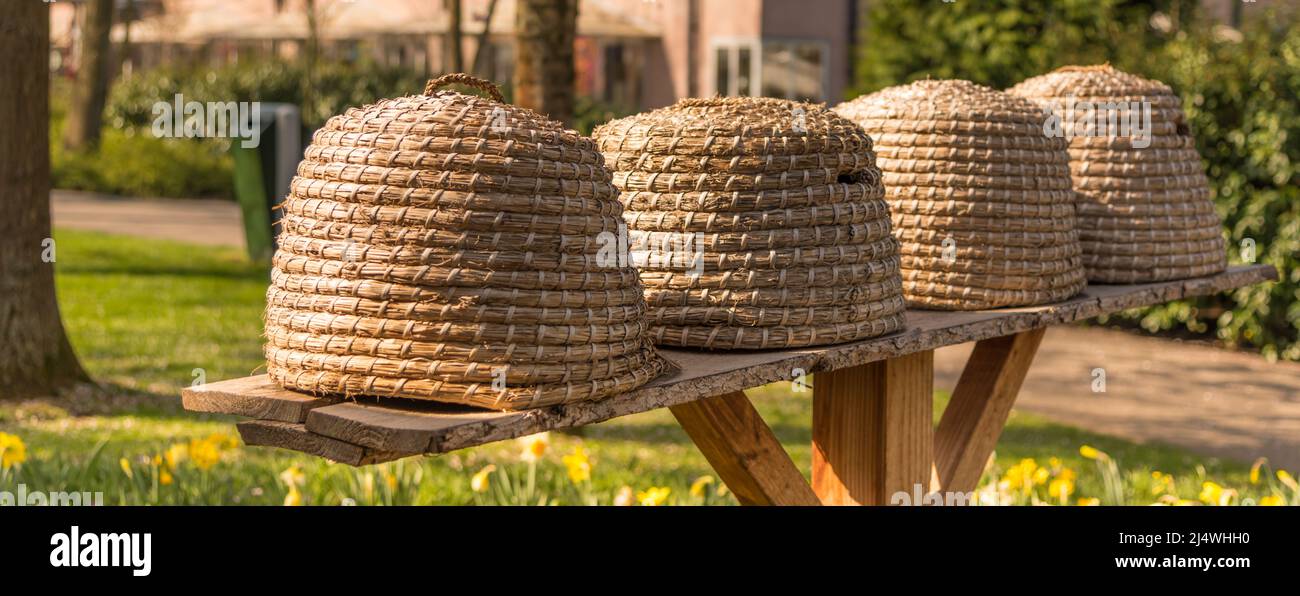 Lisse, Niederlande, April 2022. Nahaufnahme von Bienenstöcken auf einem Regal. . Hochwertige Fotos Stockfoto
