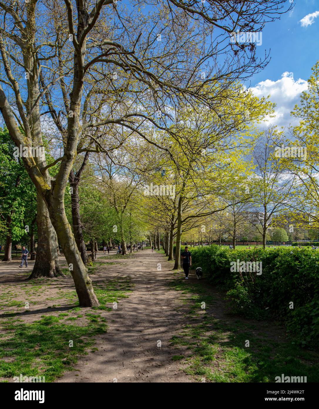 Holland Park, Kensington , London; ein heller Frühlingstag mit Menschen, die sich in der Sonne entspannen Stockfoto