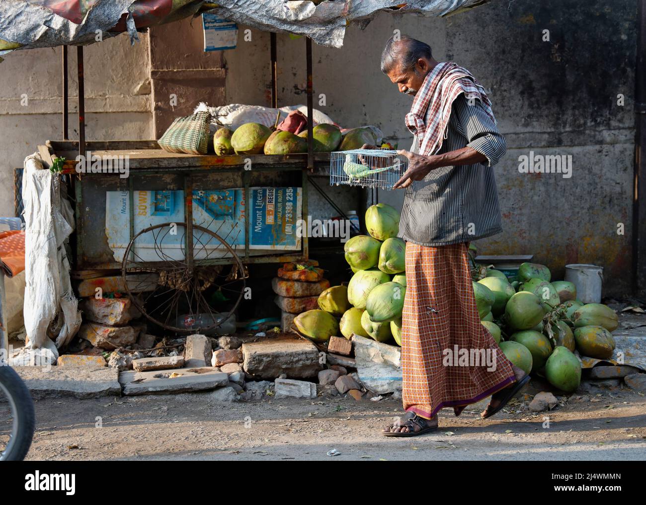 Kokosnussverkäufer, der einen Vogel in einem Käfig in Trichy, Tamil Nadu, Indien, trägt Stockfoto