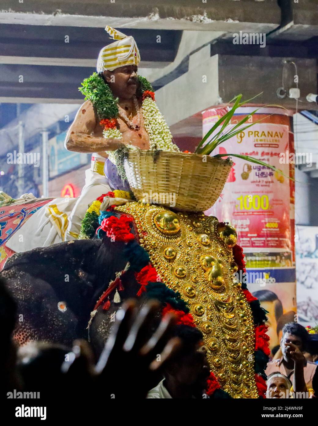 Religiöses Fest mit einem Elefanten in Trichy, Tamil Nadu, Indien Stockfoto