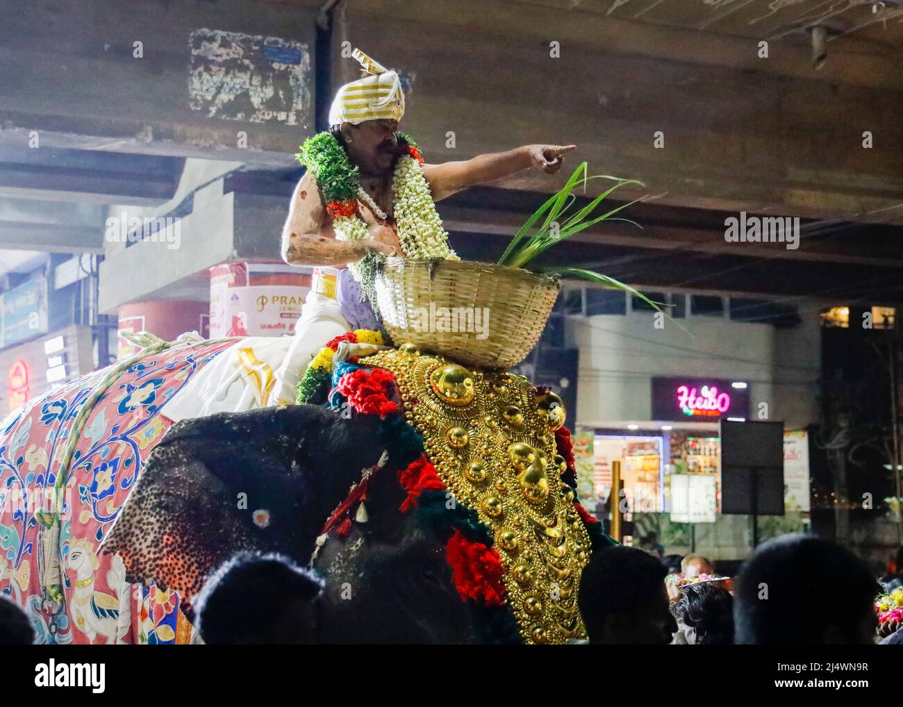 Religiöses Fest mit einem Elefanten inTrichy, Tamil Nadu, Indien Stockfoto