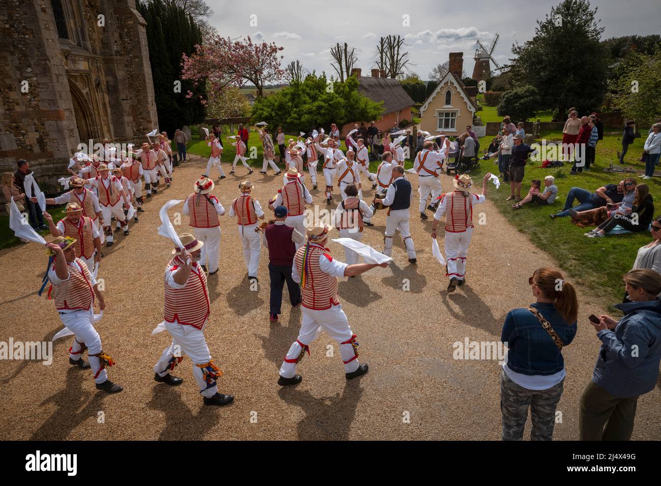 Ostermontag Morris Dancing Thaxted Essex, Großbritannien. 18. April 2022. Im späten Frühling bei warmem Wetter spielen Thaxted Morris-Tänzer in Rot und Weiß mit Devils Dyke Morris-Tänzern in Braun und Weiß aus dem Süden Cambridgshire traditionelle dMorris-Tänze im Thaxted Church Yard mit Thaxted Alms Houses und John Webbs Windmühle im Hintergrund. Kredit: BRIAN HARRIS/Alamy Live Nachrichten Stockfoto