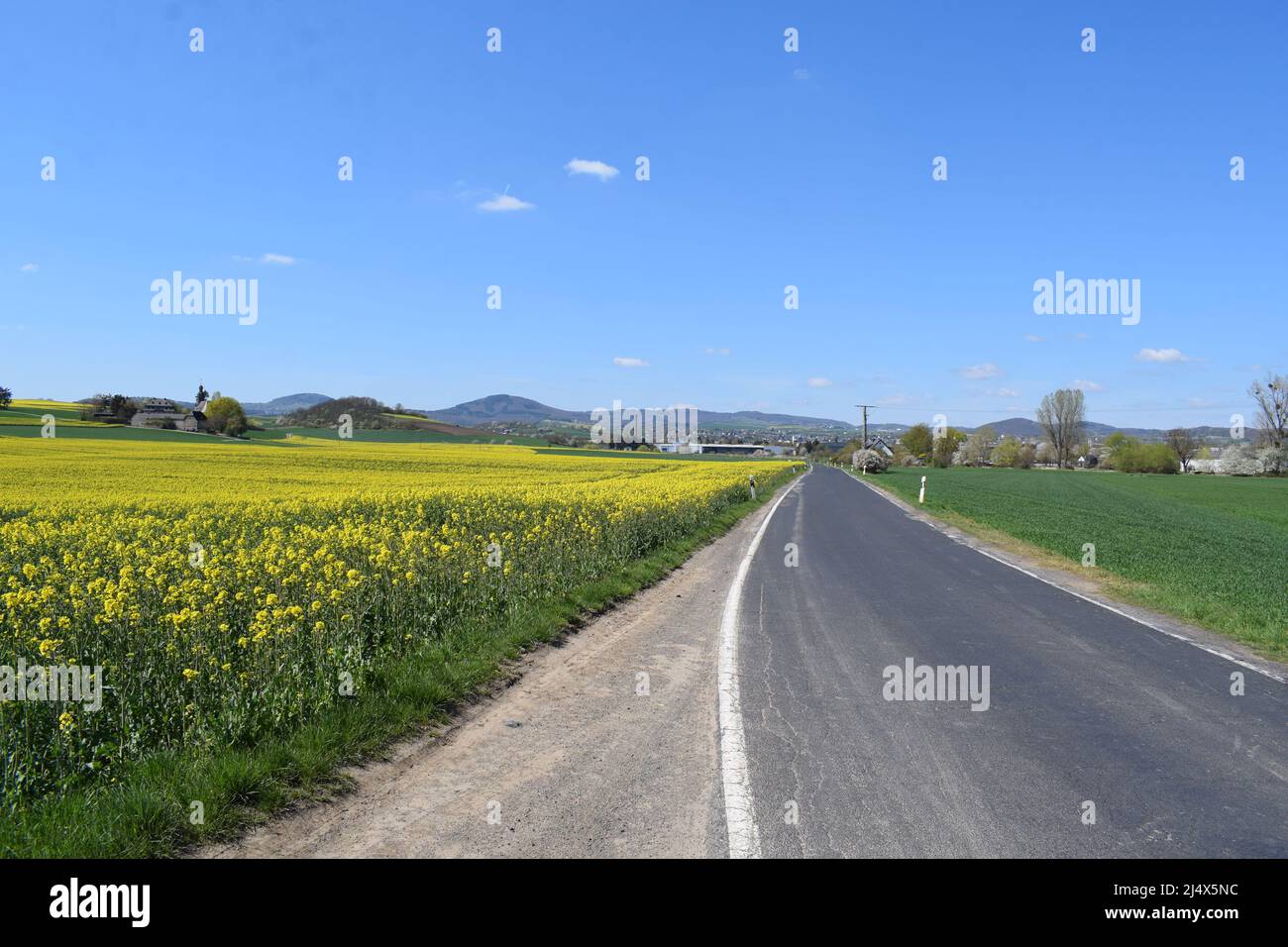 Kleine Landstraße durch die Eifellandschaft im Frühjahr Stockfoto