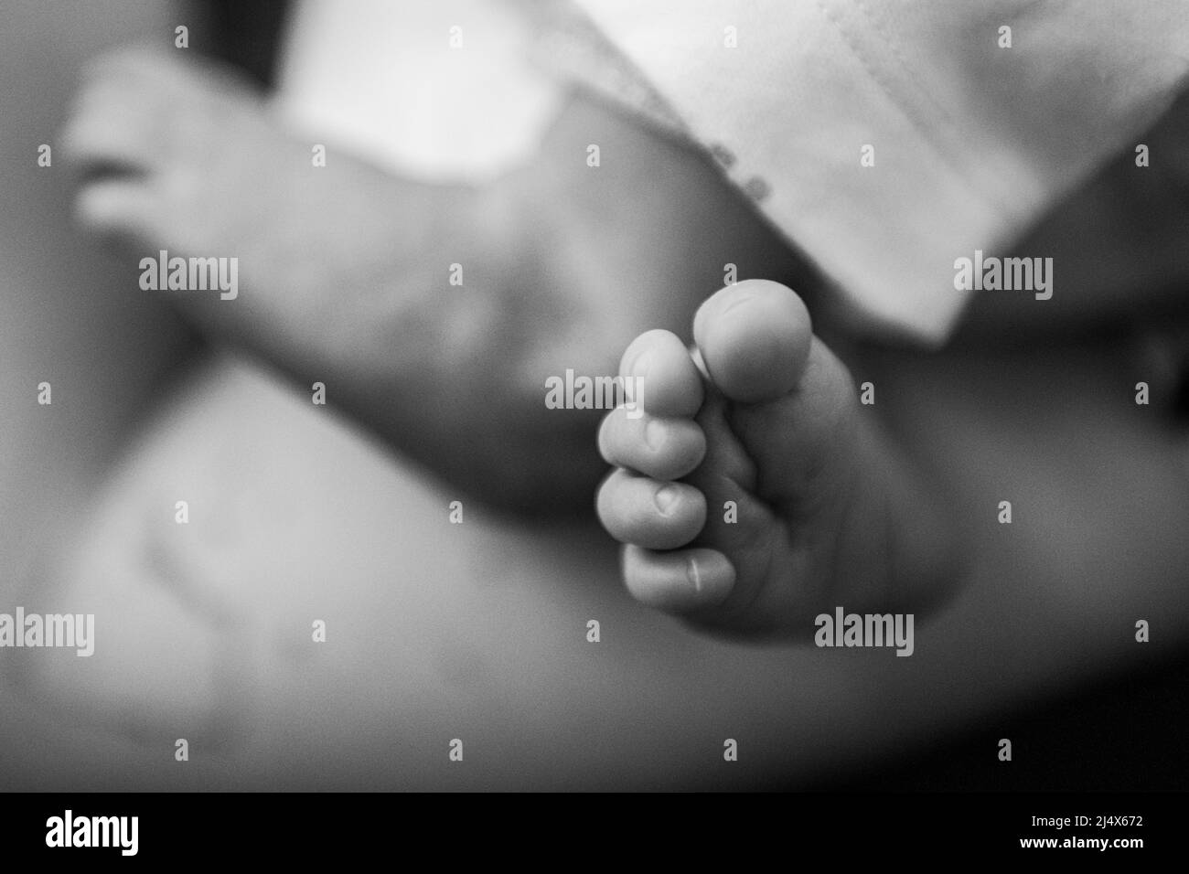 Detail der Füße eines Neugeborenen im Alter von ein paar Tagen Stockfoto
