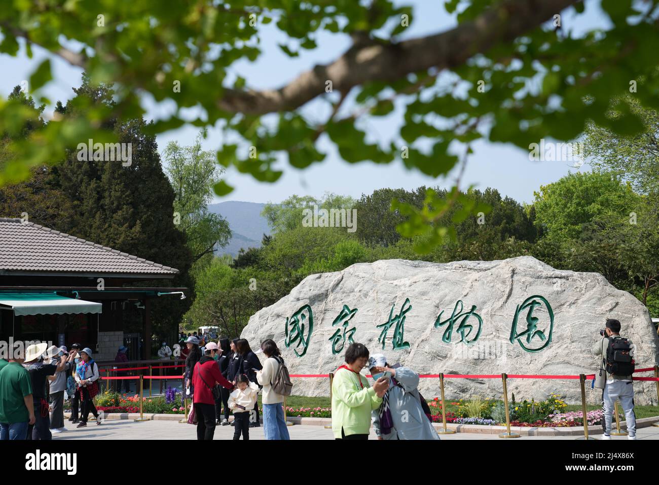 (220418) -- PEKING, 18. April 2022 (Xinhua) -- Menschen besuchen den Nationalen Botanischen Garten Chinas in Peking, der Hauptstadt Chinas, 18. April 2022. Der China National Botanical Garden wurde am Montag in Peking offiziell eingeweiht, sagte die National Forestry and Grassland Administration.mit einer geplanten Fläche von 600 Hektar baut der nationale botanische Garten auf den Arbeiten des Instituts für Botanik unter der chinesischen Akademie der Wissenschaften und des Beijing Botanical Garden auf. Der nationale botanische Garten verfügt über mehr als 30.000 Pflanzenarten und 5 Millionen repräsentative Pflanzenexemplare aus fünf Fortsätzen Stockfoto