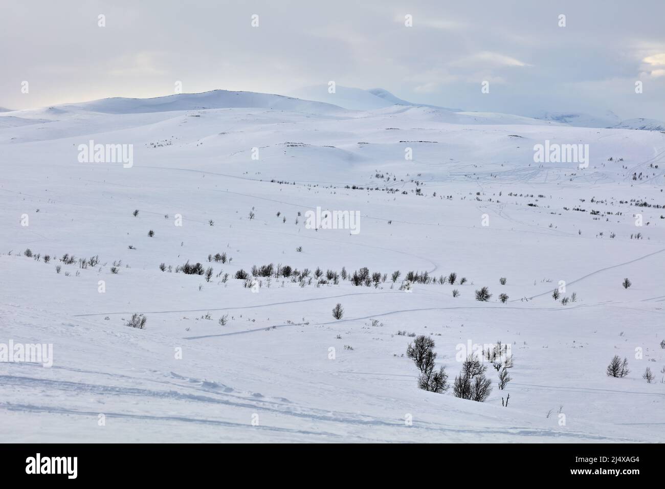 Blick über den Pieljekaise Nationalpark in Schweden im Spätswinter Stockfoto