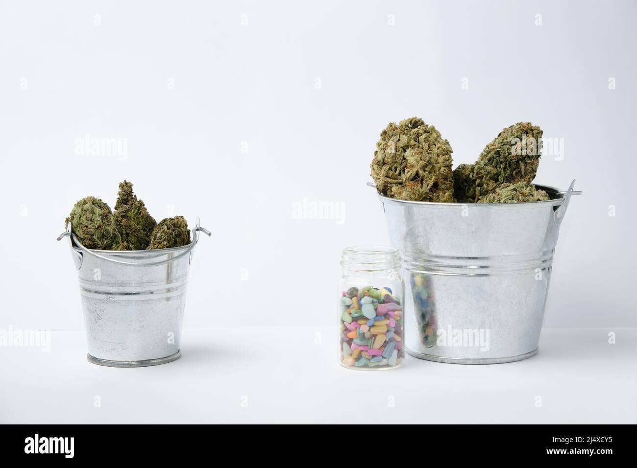 Hanfanbau. Trockenes Marihuana in Eimern und Dünger isoliert auf weißem Hintergrund. Erntekonzept. Produktivität in der Cannabisbranche. Stockfoto