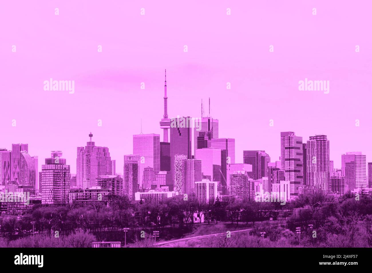 Die Skyline der Stadt Toronto in Kanada Stockfoto