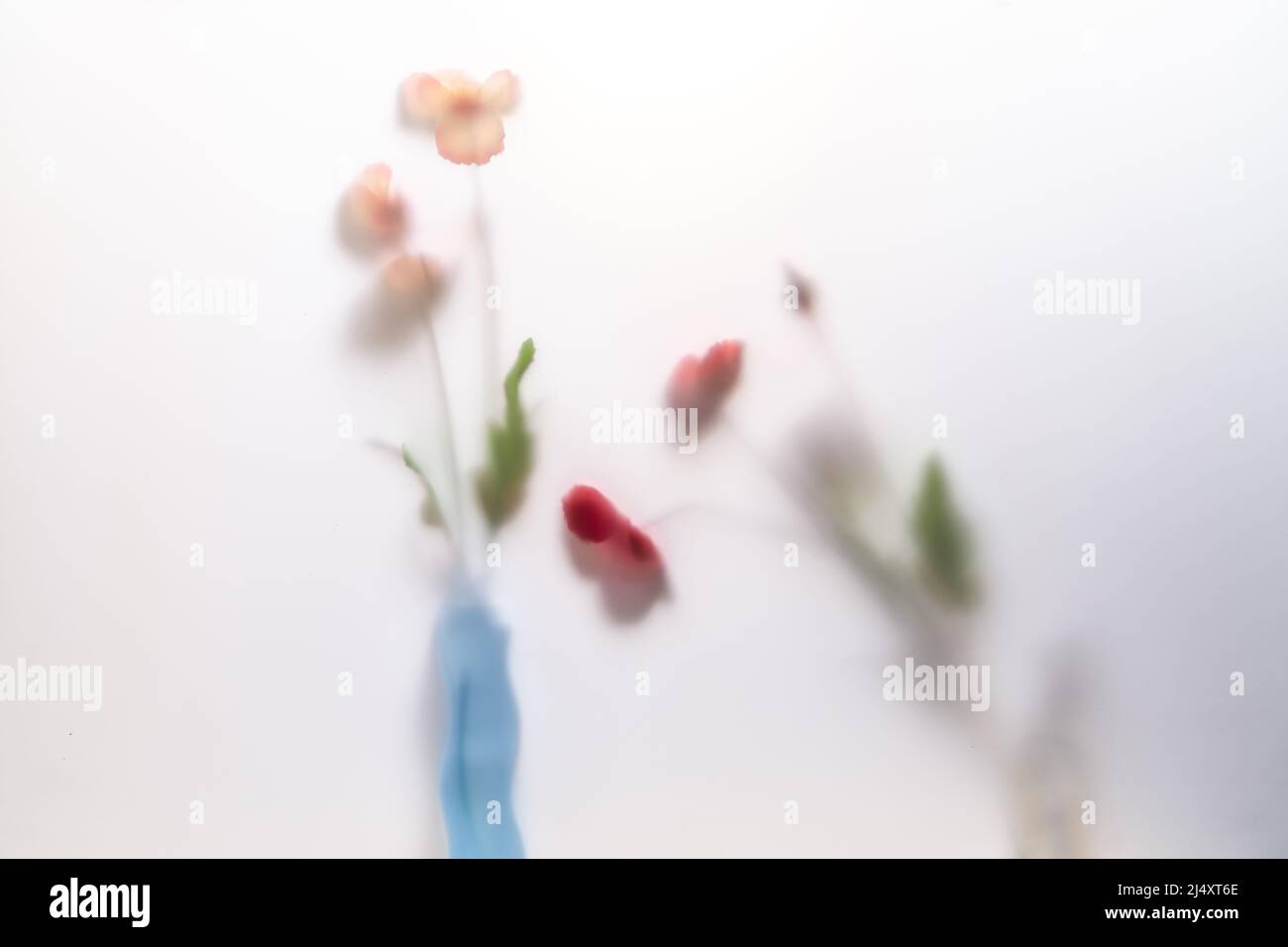 Die zarten Blüten hinter dem matten Schleier Stockfoto