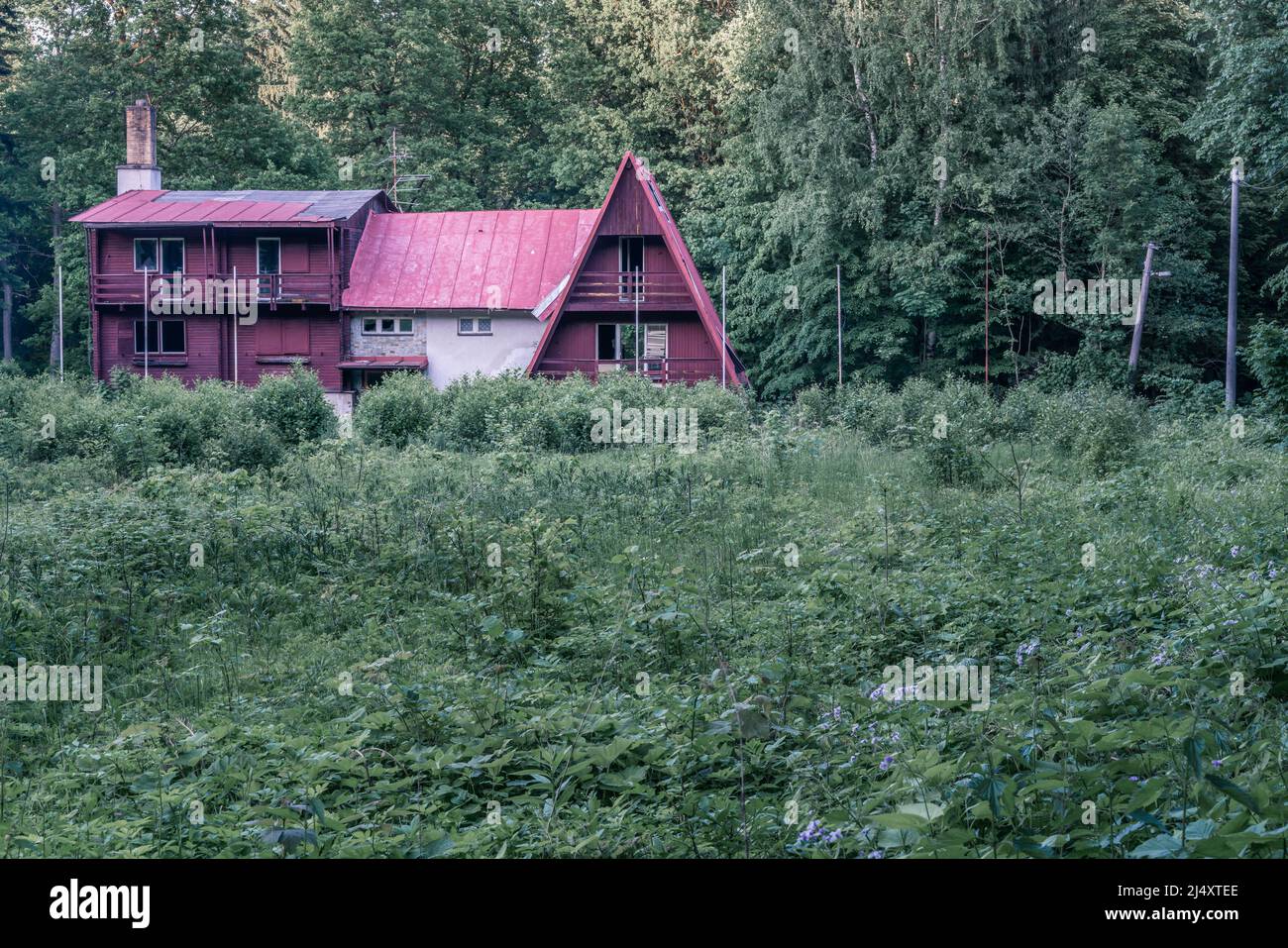 Altes verlassene Gebäude, das mitten in einem grünen Wald zerfällt, überwuchert von wildem Unkraut und Büschen Stockfoto