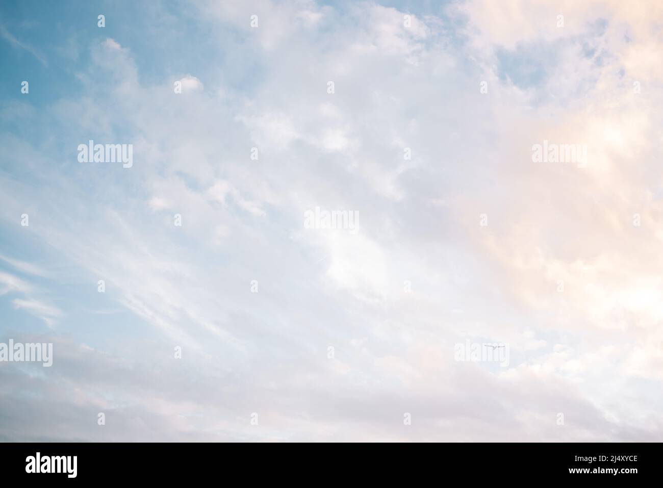 Ätherische blaue und rosa Strandwolken mit einem einfarbigen Vogel Stockfoto