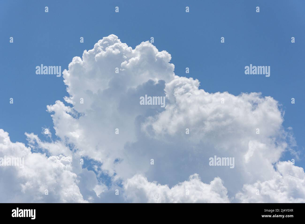 Weiße Cumuluswolken gegen blauen Himmel, Montego Bay, St James Parish, Jamaika, Großantillen, Karibik Stockfoto