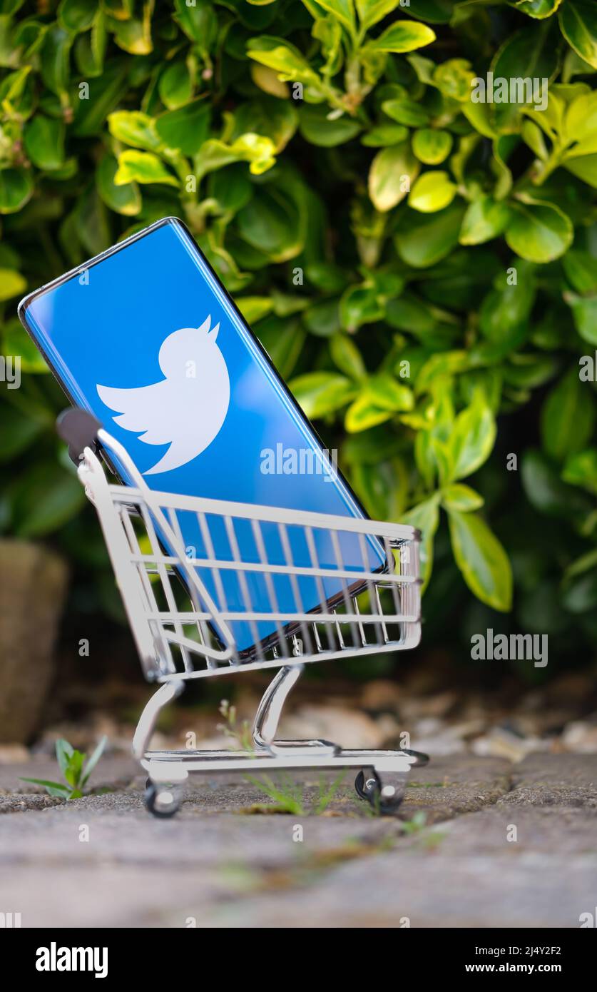 Smartphone mit Twitter-Logo in einem Mini-Warenkorb platziert. Konzept für den Unternehmensverkauf. Vertikales Bild. Stafford , Großbritannien, 17. April 2022. Stockfoto