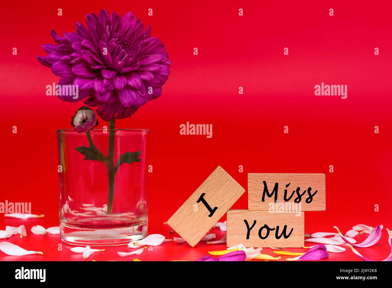 Text auf Holzwürfel und mit Blume auf rotem Hintergrund - Du fehlst mir. Stockfoto