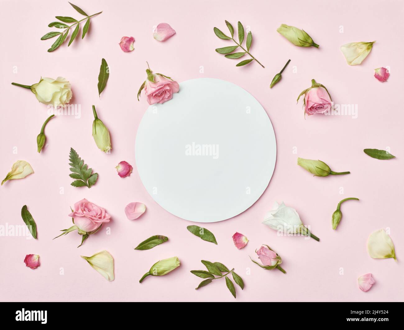 Blatt Blume Grußkarte Notiz Papier Rahmen Hintergrund flach legen floral Layout Einladung Natur Frühling grün Stockfoto