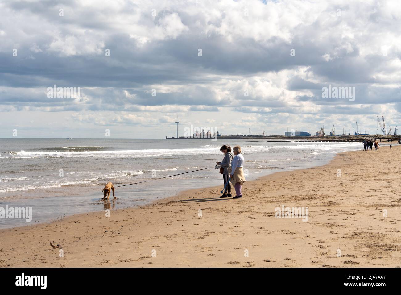Zwei Personen mit Hund am Strand genießen das gute Wetter in Cambois, Blyth, Northumberland, Großbritannien. Stockfoto