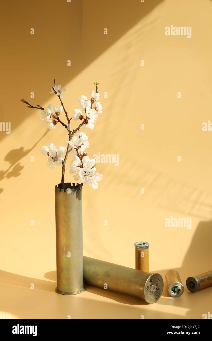 Blütenzweig im Gehäuse Stockfoto