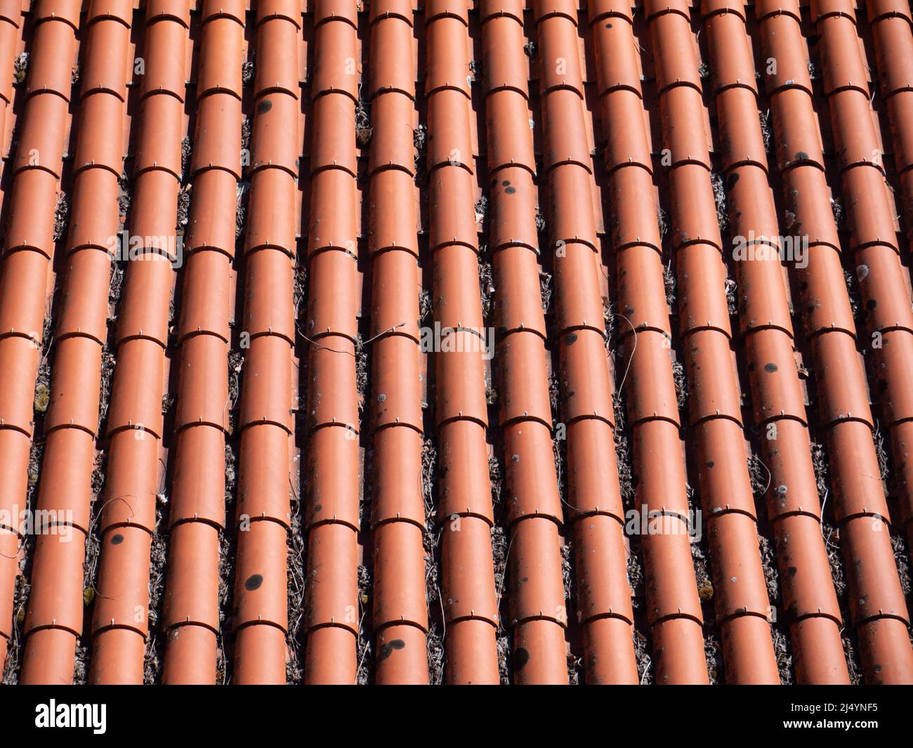 Traditionelles Keramikdach in Portugal.Terrakotta-Bogenfliesen. Stockfoto