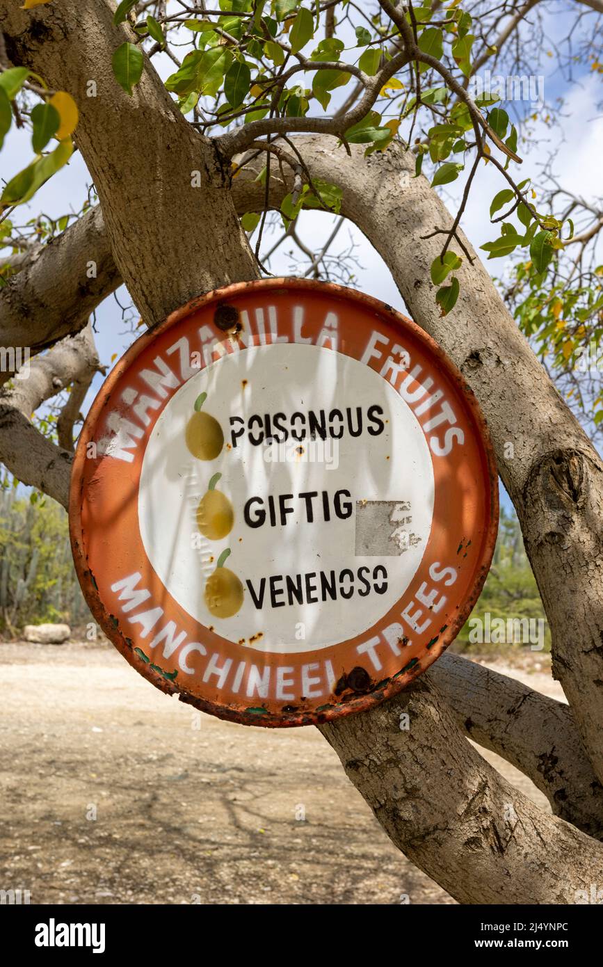 Warnschild für Manchineelbäume an Playa Jeremi auf der Karibikinsel Curacao Stockfoto