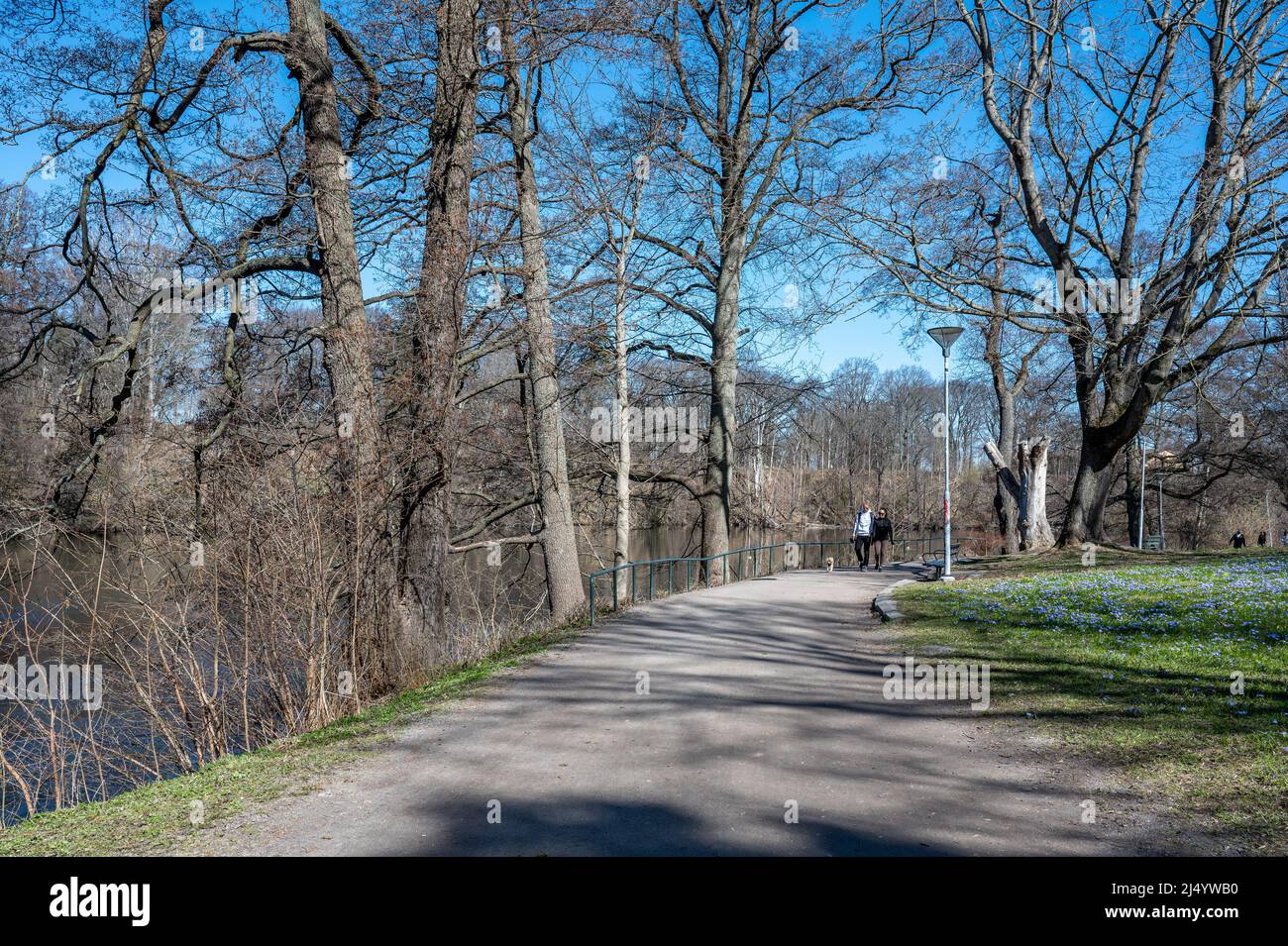 Waterfront Park Abackarna im Frühling in Norrkoping. Der Park Abackarna am Fluss Motala ist ein beliebtes Erholungsgebiet in Norrkoping. Stockfoto