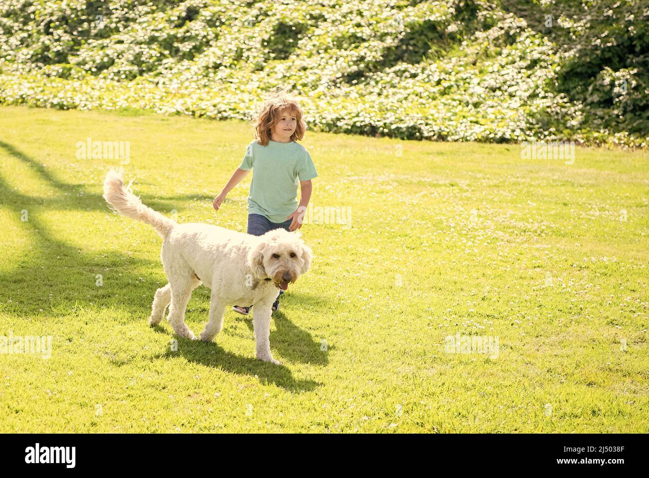 Glückliches Kind spielen mit Hund. Junge und Haustier entspannen zusammen. Adoption und Nächstenliebe. Tier Tag. Stockfoto