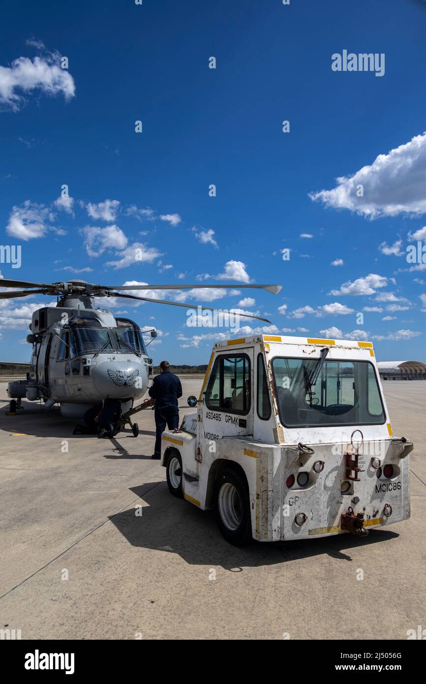 Die Royal Navy 'MOHAWK' Flight Crew, 814 Naval Air Squadron, die derzeit mit der britischen Royal Navy Fregatte HMS Portland (F79) arbeitet, schließt den Merlin Mk2 Hubschrauber an einen Abschleppwagen an der Marine Corps Air Station (MCAS) Beaufort, S.C., 25. März 2022. Die Flugcrew lendete ihren ursprünglichen Flugplan von Jacksonville, N.C. nach MCAS Beaufort ab und nutzte die Einrichtungen der Luftstation und führte Routinewartung durch. (USA Marine Corps Fotos von CPL. Aidan Parker) Stockfoto