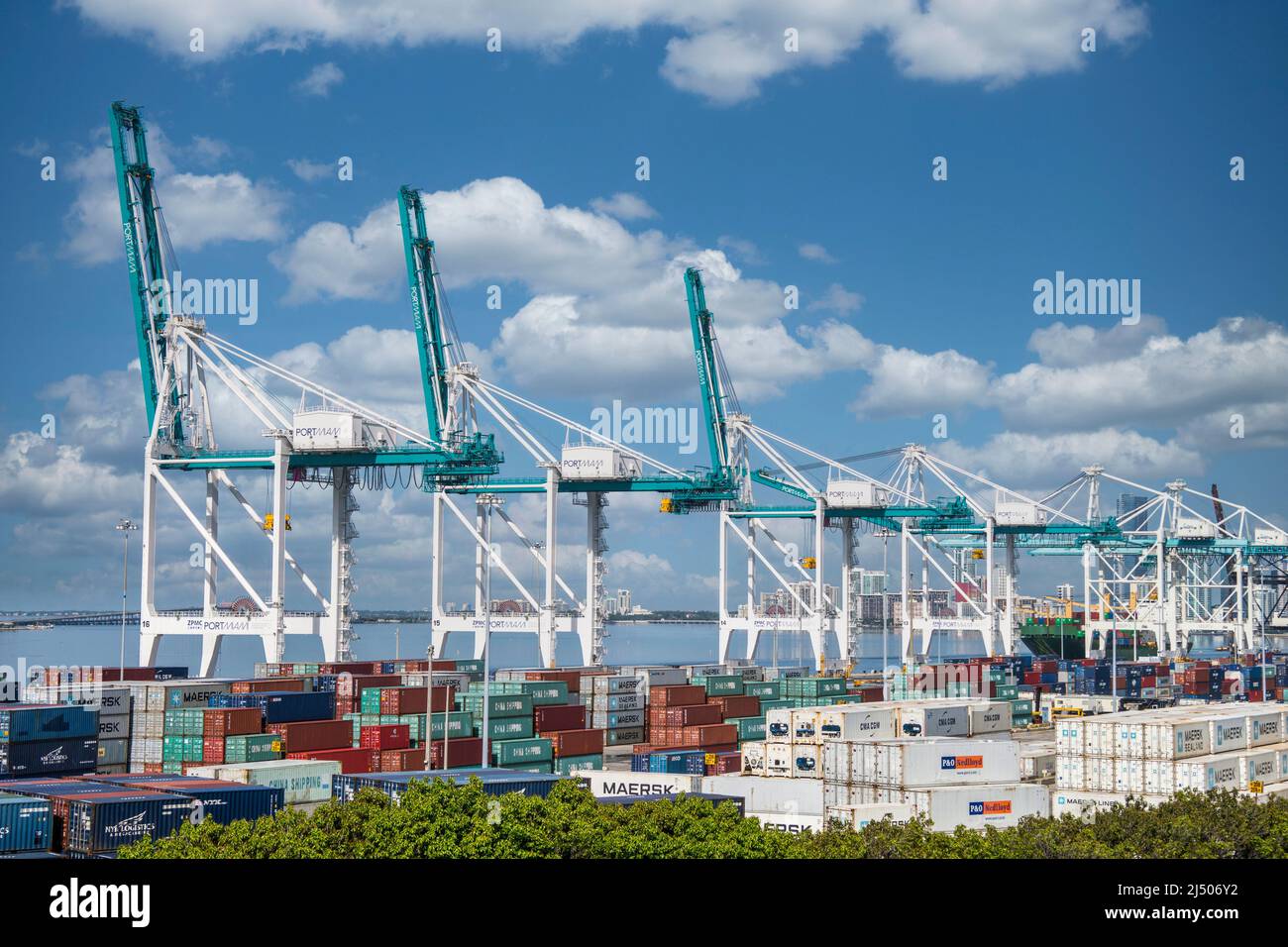 Krane und Frachtcontainer im Hafen von Miami auf Dodge Island in Florida. Stockfoto