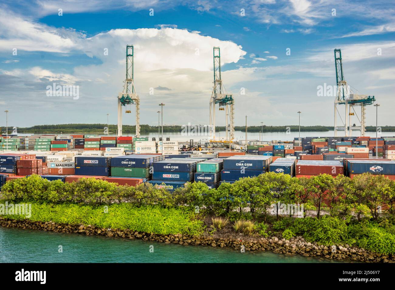 Krane und Frachtcontainer im Hafen von Miami auf Dodge Island in Florida. Stockfoto