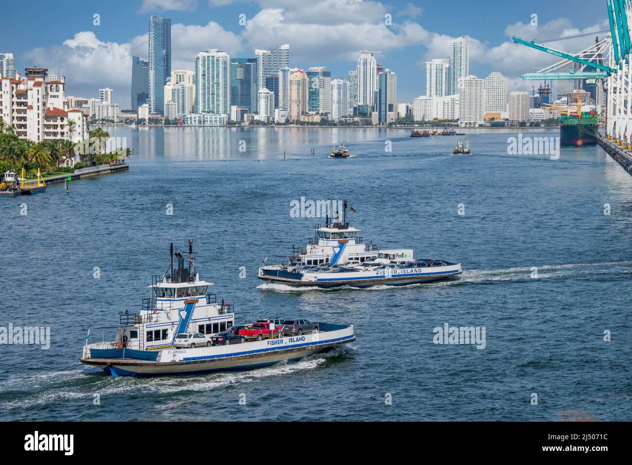 Die Fisher Island Ferries überqueren die Insel, während sie vom Deck eines Kreuzfahrtschiffs aus Miami, Florida, auf die Insel kommen und gehen. Stockfoto