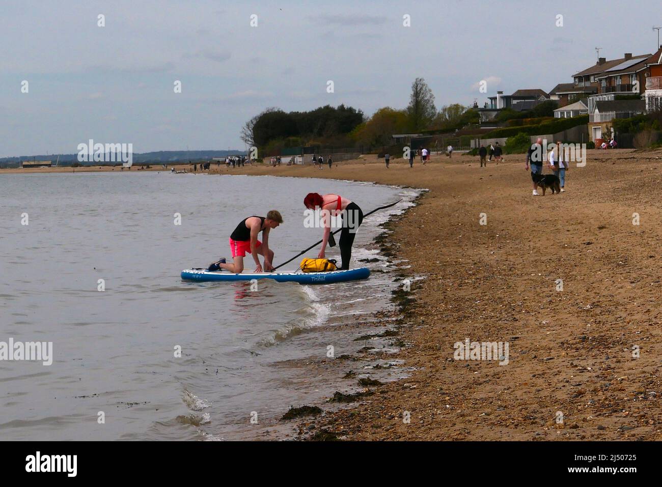 Die Bewohner von Mersea Island genossen den Strand in East Mersea am Ostermontag nach zwei Jahren der COVID-19-Beschränkungen, während West Mersea von Touristen überrannt wurde, Besucher und Bewohner die berühmte Oyster Bar besuchten, um einige der besten Meeresfrüchte zu probieren, die in Großbritannien erhältlich sind ... Stockfoto