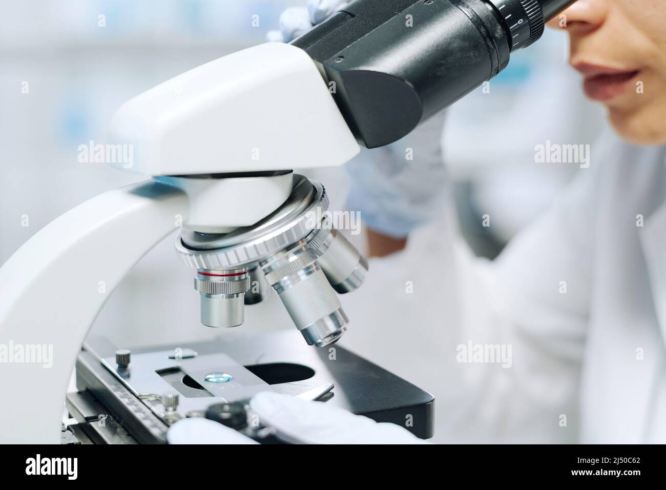 Laborgeräte für die Untersuchung und Erforschung neuer Viren oder Bakterien, die von jungen Virologen oder Biochemikern während des Experiments verwendet werden Stockfoto