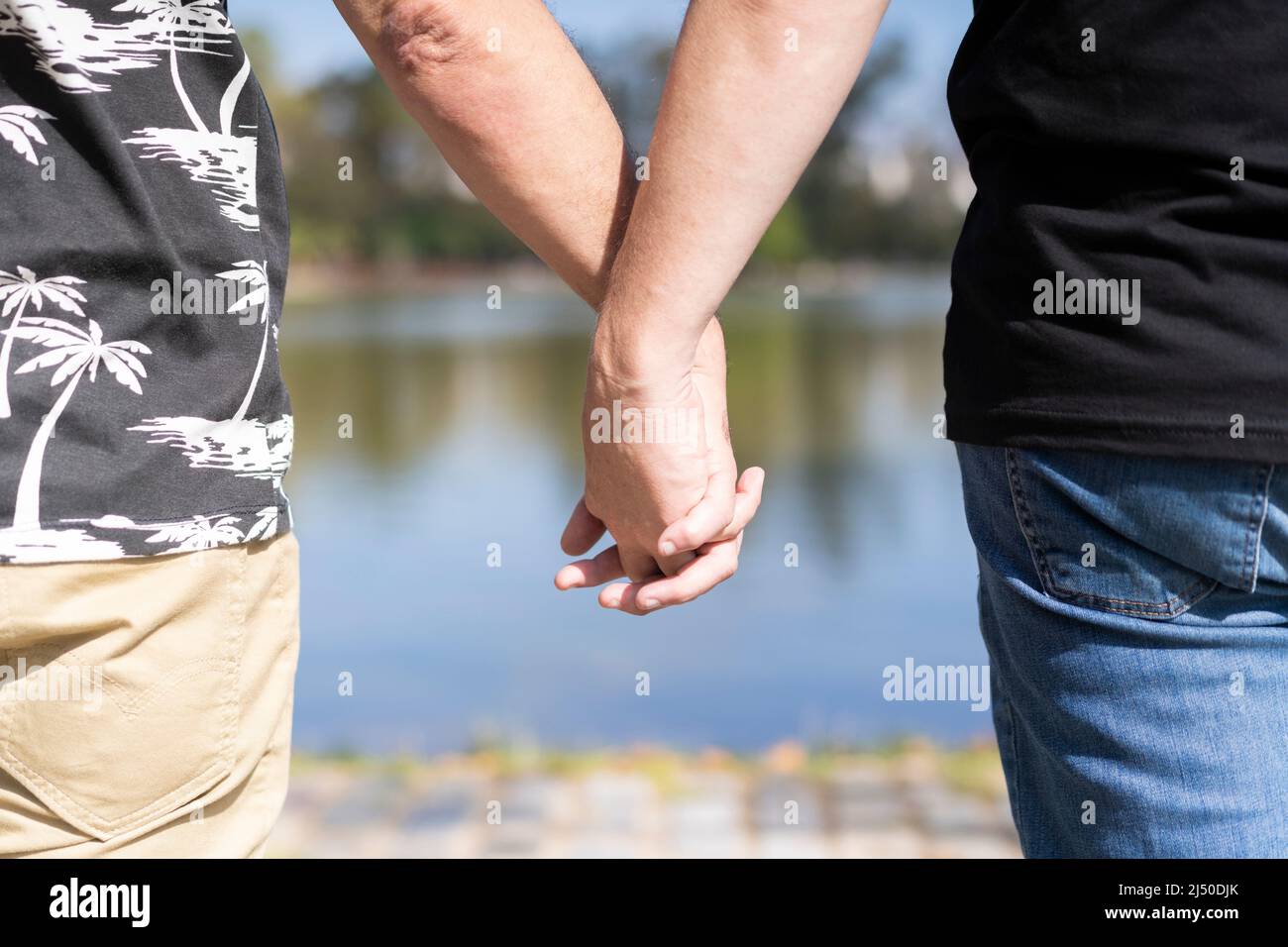 Homosexuelles weißes männliches Paar, das Hände an einem See hält Stockfoto