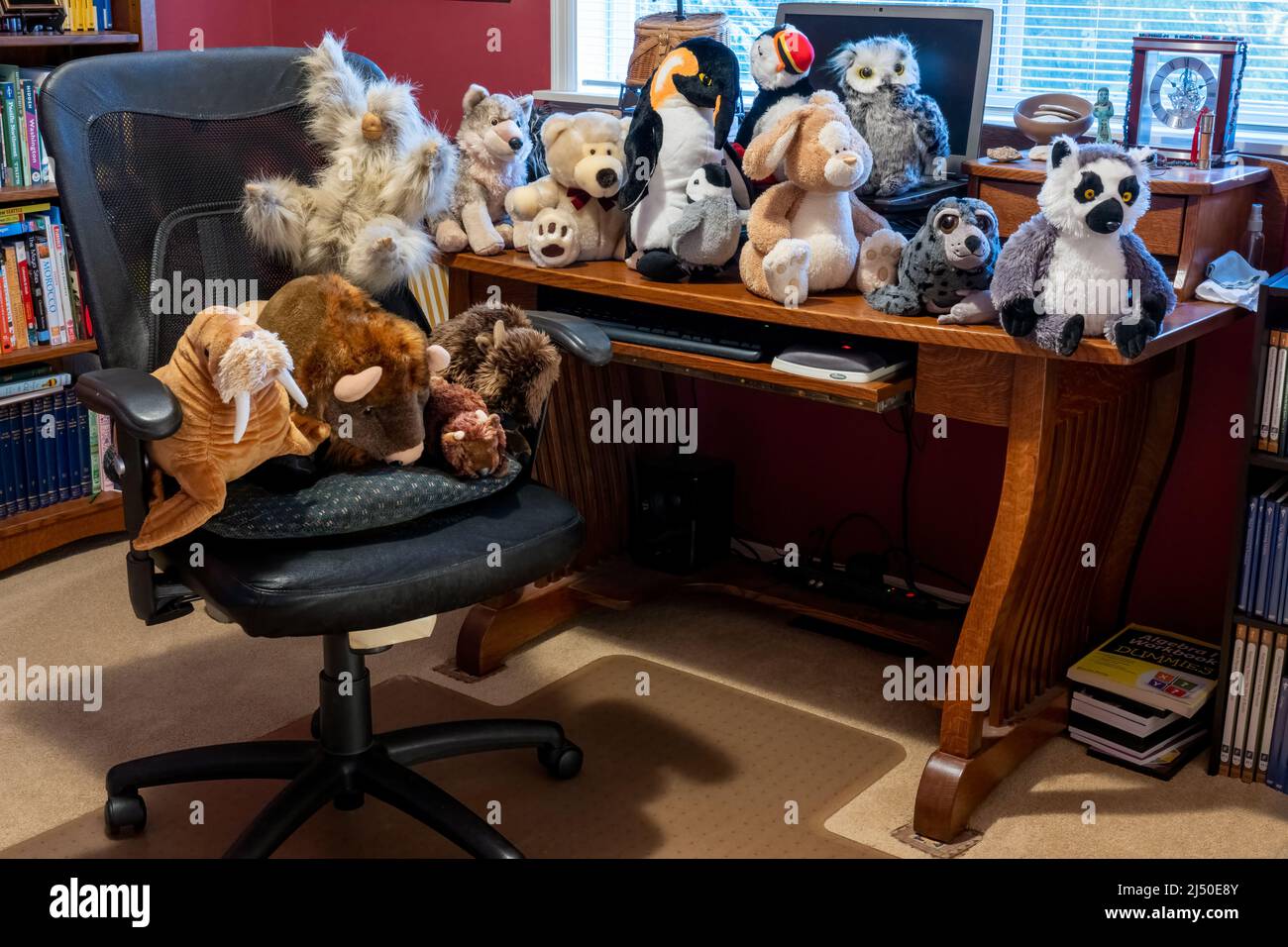 Stofftiere übernehmen einen Bürostuhl und einen Schreibtisch Stockfoto