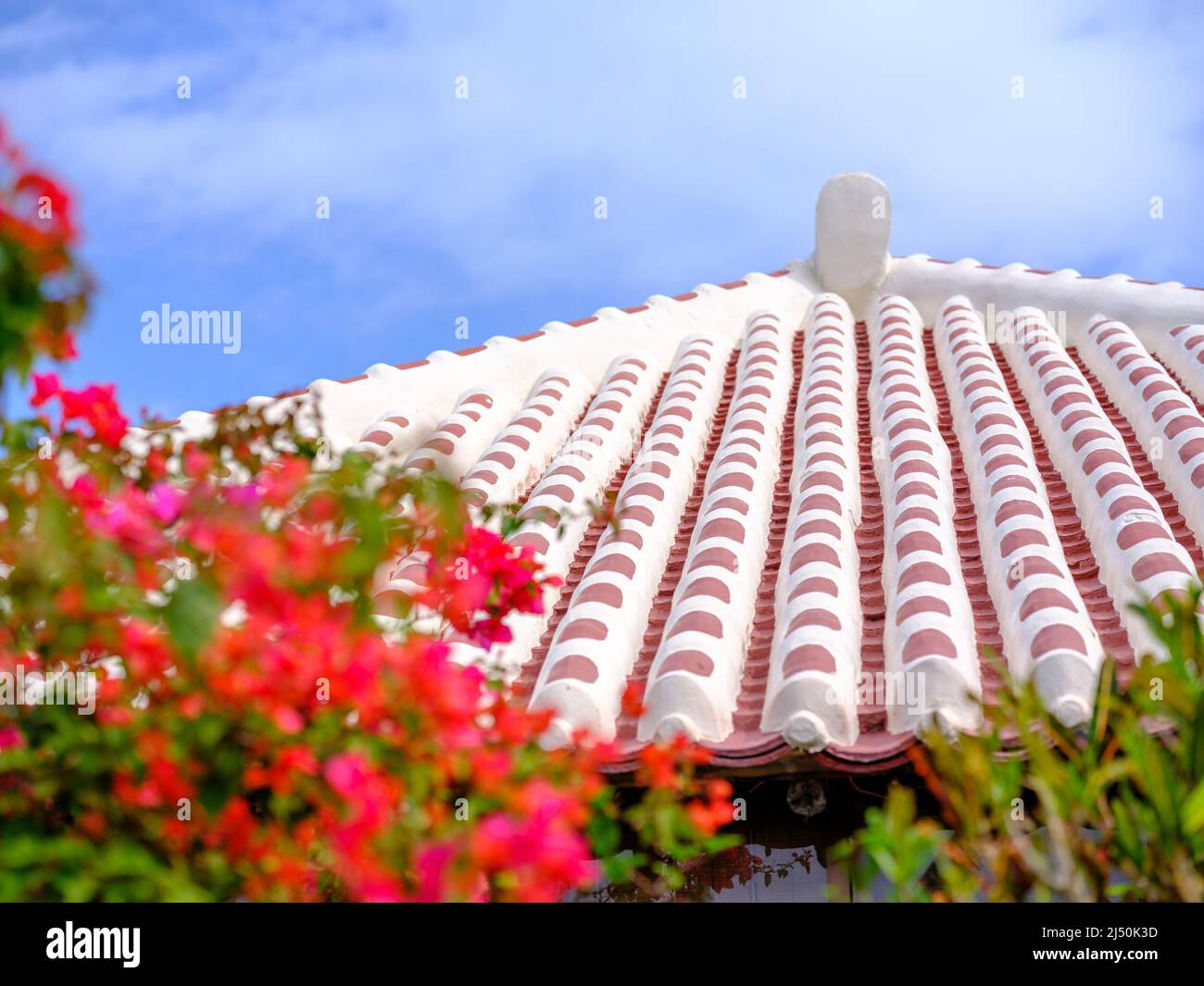 Traditionelles Haus auf der Insel Iriomote, Präfektur Okinawa, Japan Stockfoto