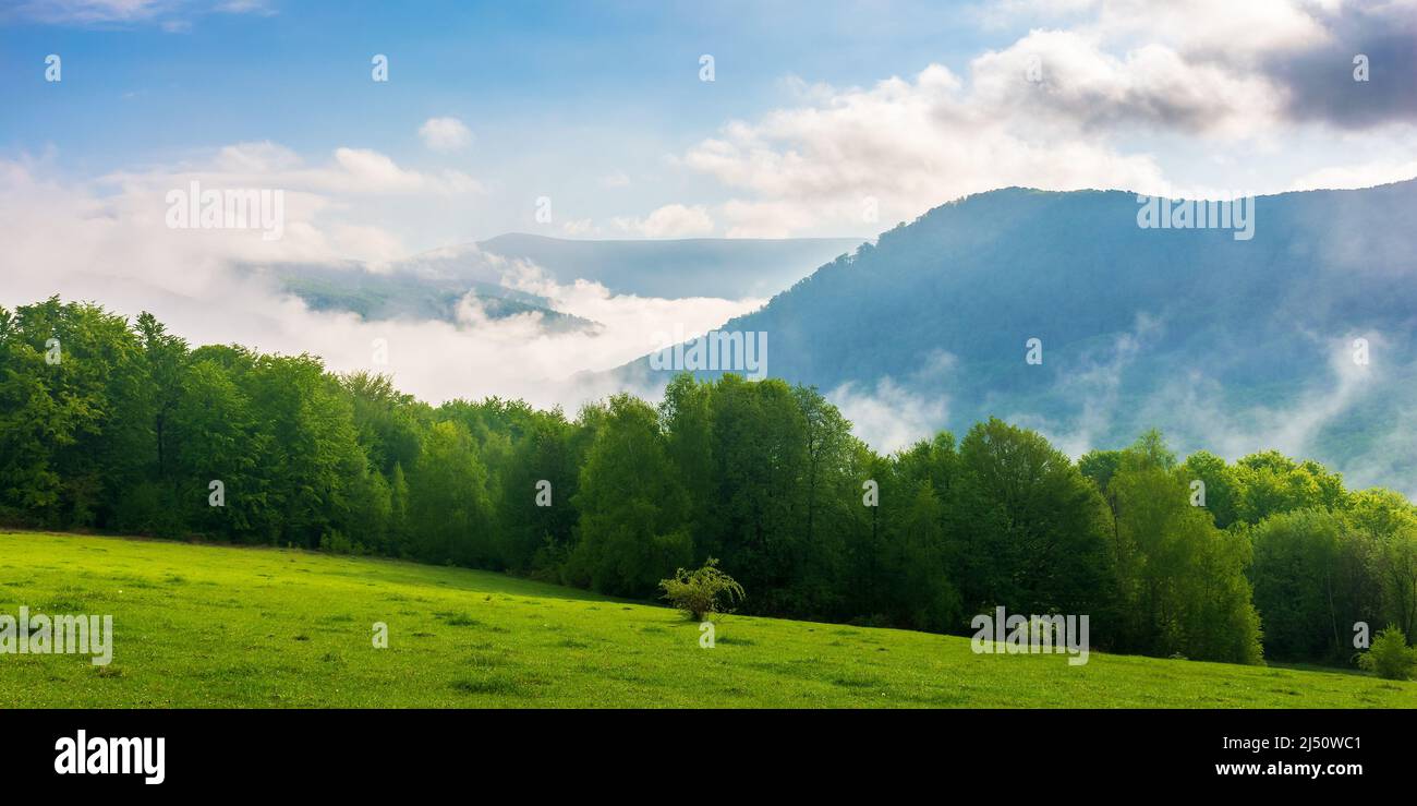 Grüne und blaue Landschaft in den Bergen. Wiese und Wald auf dem Hügel. Nebel im Tal und Wolken am Himmel. Friedlicher sonniger Morgen in der Nähe Stockfoto