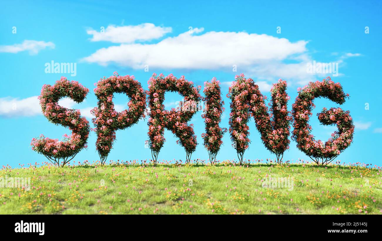 3D Rendering von FRÜHLINGSFÖRMIGEN Sträuchern, die mit Frühlingsblumen auf einer Wiese bedeckt sind Stockfoto