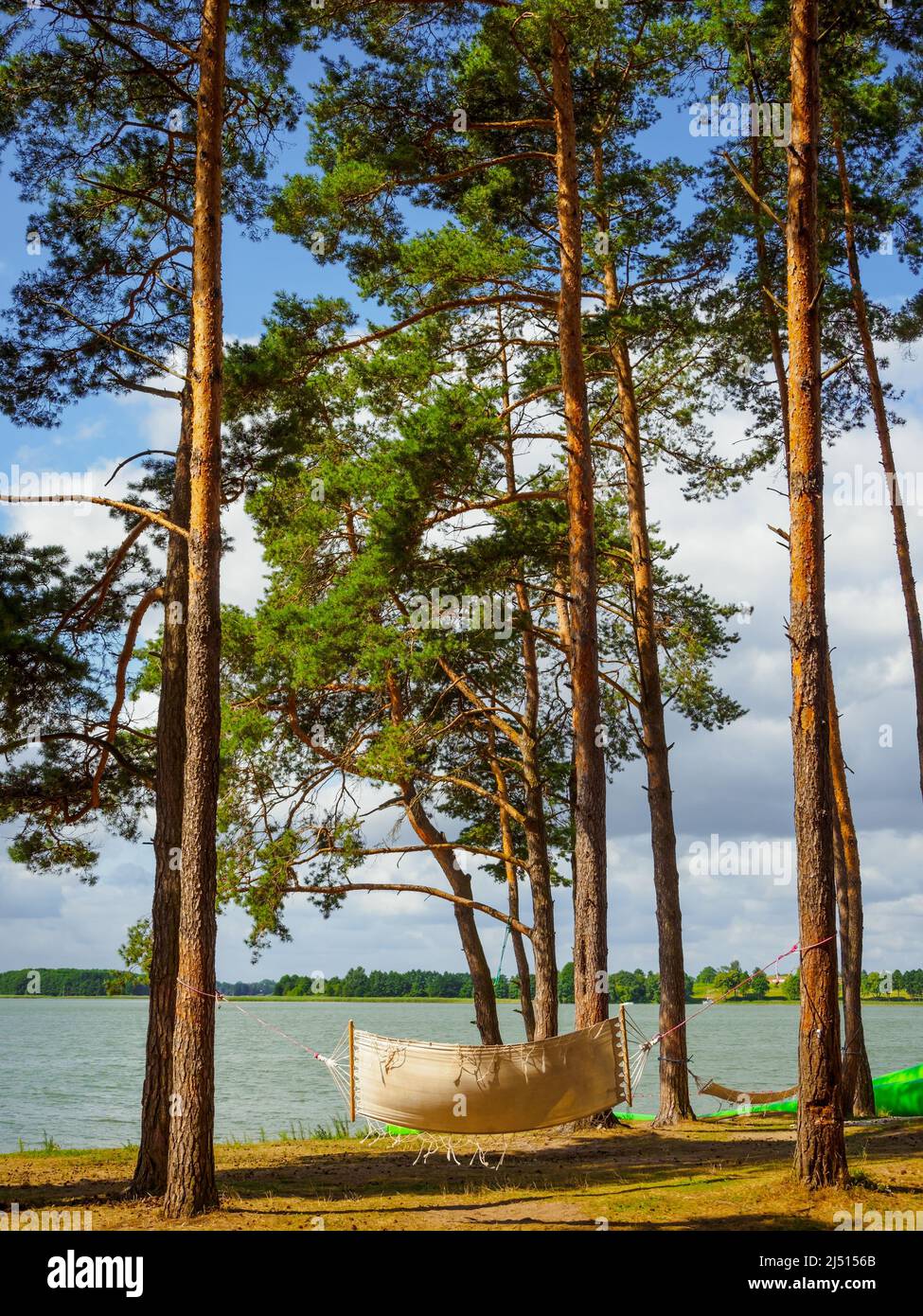 boho-Stil weiße Leinenhängematte, die zwischen Pinien an einem Seeufer hängt Stockfoto