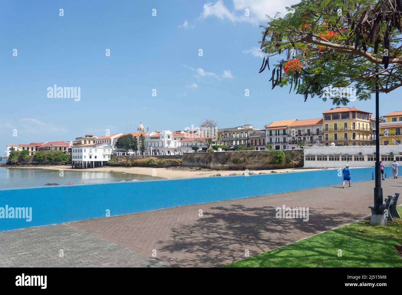 Altstadt (Casco Viejo) von der Plaza V Centenario, Panama City, Panama Provinz, Republik Panama Stockfoto