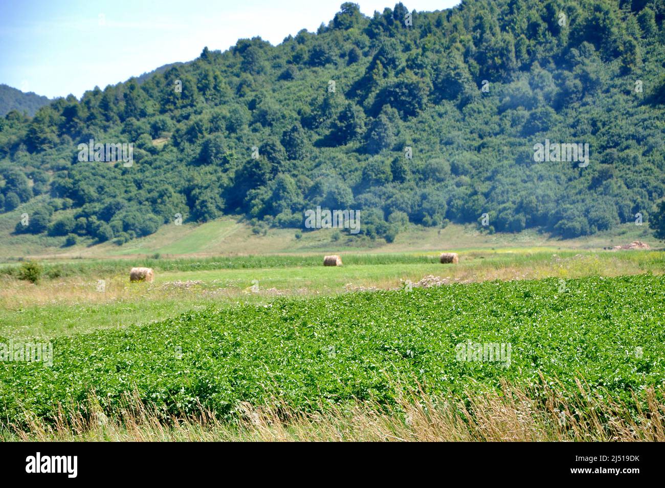 Bild von Kroatien Landschaft, Berge und landwirtschaftliche Felder, schöne Sommernatur, Mrkopalj Dorf in der Nähe von Rijeka Stadt. Stockfoto