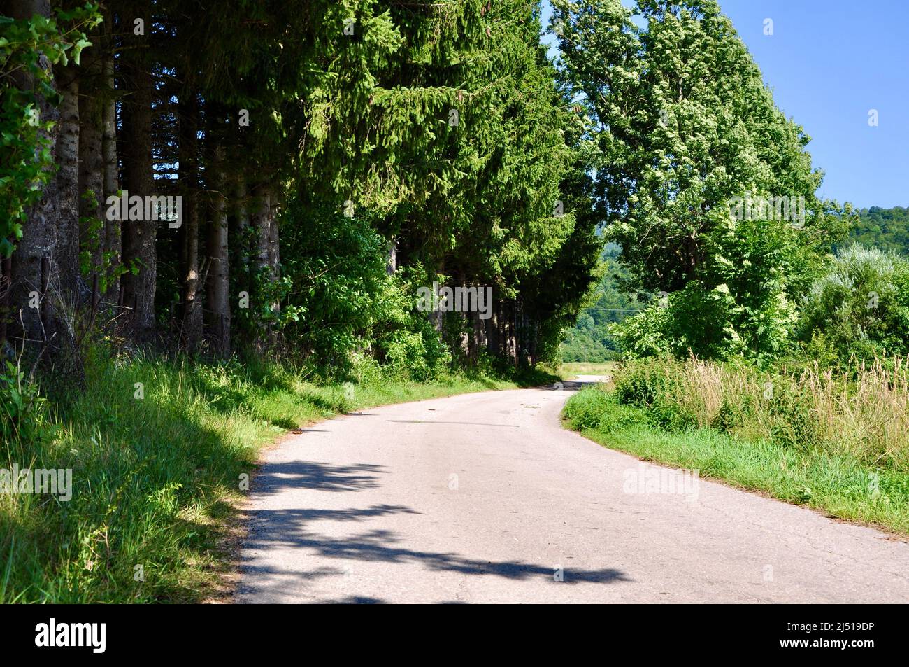 Straße durch Berge. Driving Trail Ridge Road. Rocky Mountains Straße in Mrkopalj Stadt, Gorski Kotar Region in Kroatien. Entlang der Straße in den Rocky Mountains Stockfoto