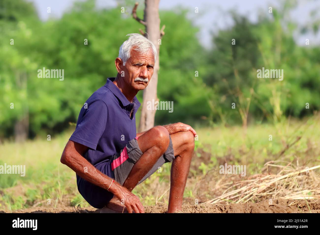 Nahaufnahme eines indischen Bauern im Alter, der auf dem Feld sitzt und die Kamera anschaut, Indien Stockfoto