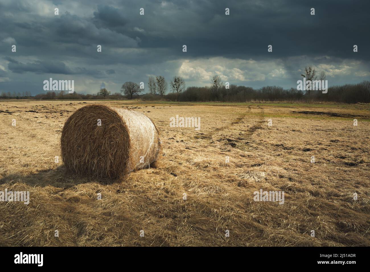 Ein Heuballen, der auf einer trockenen Wiese und einem bewölkten Himmel liegt Stockfoto