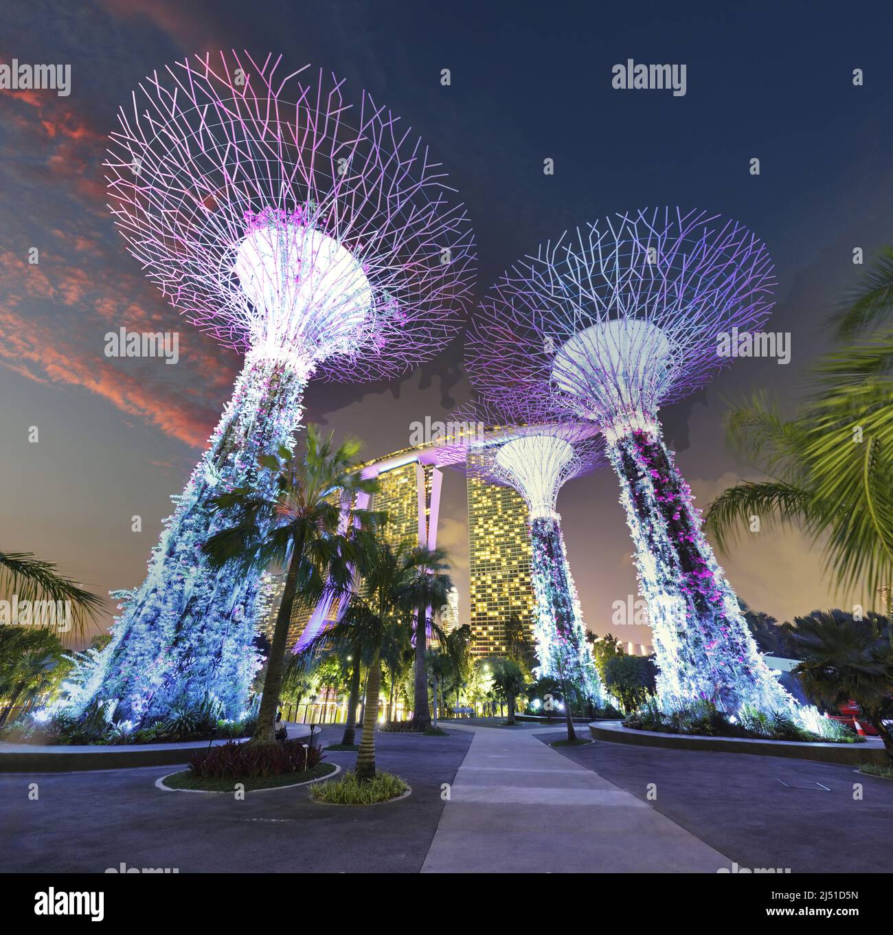 Singapur - Supertree Garten bei Nacht, Garten durch die Bucht Stockfoto
