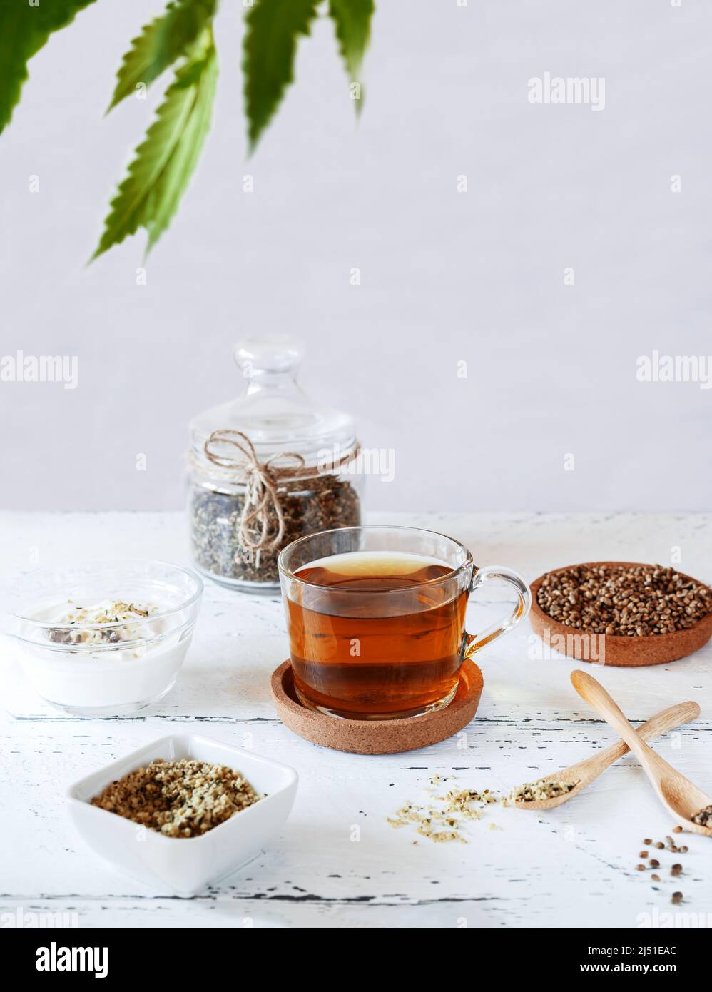 Hanf-Produkte: Kräutertee trocken und frisch in Tasse, Samen, Joghurt mit Samen Stockfoto