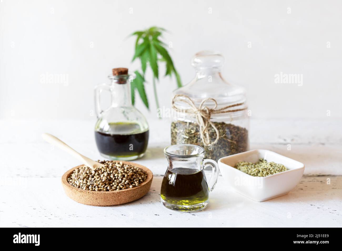 Hanfprodukte: Öl, Tee, geschälte und ganze Samen, Joghurt mit Samen, Cannabispflanze Stockfoto