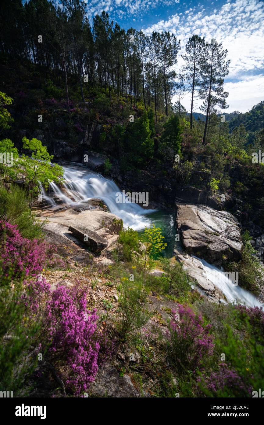 Blick auf die Cascata Fecha de Barjas Wasserfälle im Peneda-Geres Nationalpark in Portugal Stockfoto