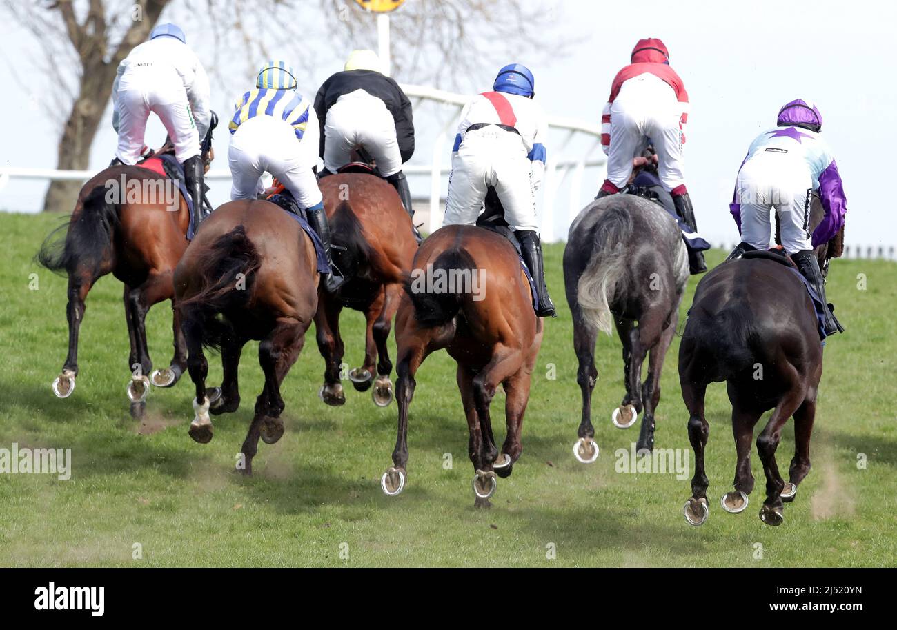 Läufer und Reiter während der Manpower Gemma Ackerman Leaving Today Handicap-Hürde auf der Sedgefield Racecourse. Bilddatum: Dienstag, 19. April 2022. Stockfoto