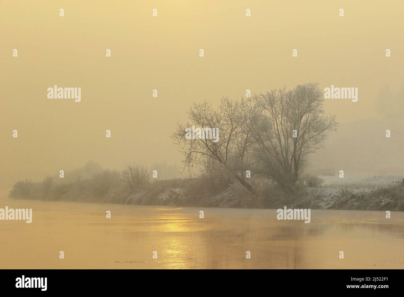 Bäume mit Frost bedeckt. Winter Sonnenuntergang, gefrorener Fluss, neblige Landschaft. Stockfoto