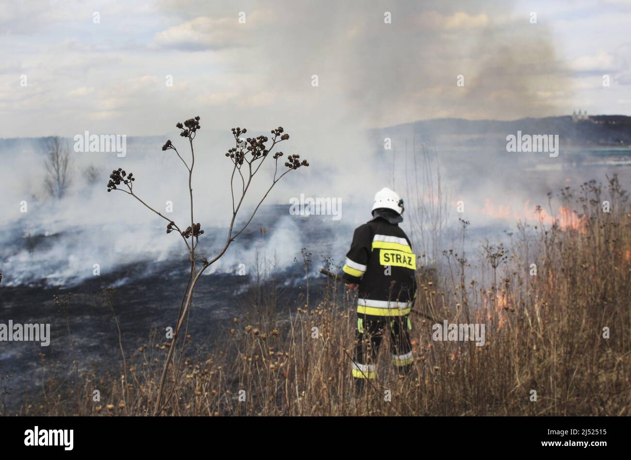 Feuerwehrleute kämpfen mit Feuer auf der Wiese in Krakau, Polen. Stockfoto